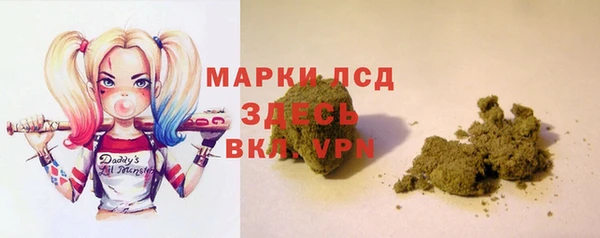 стафф Алзамай