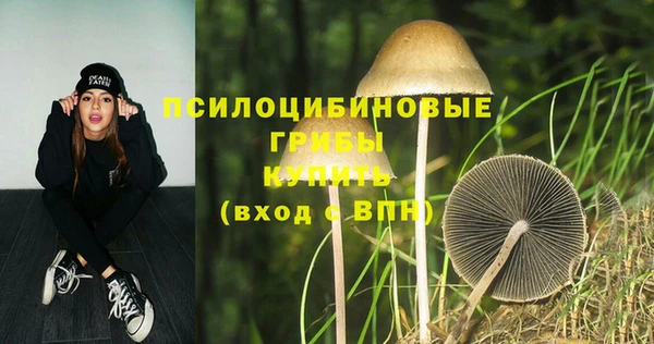 стафф Алзамай