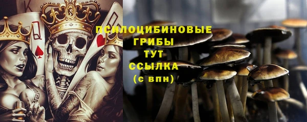 ГАЛЛЮЦИНОГЕННЫЕ ГРИБЫ Алексин