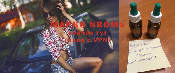 стафф Алзамай