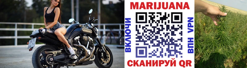 Конопля семена  продажа наркотиков  Сасово 